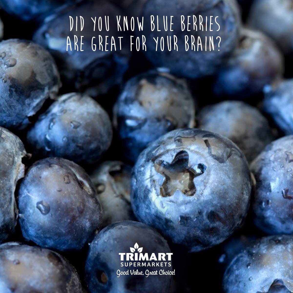 TRI-blueberries